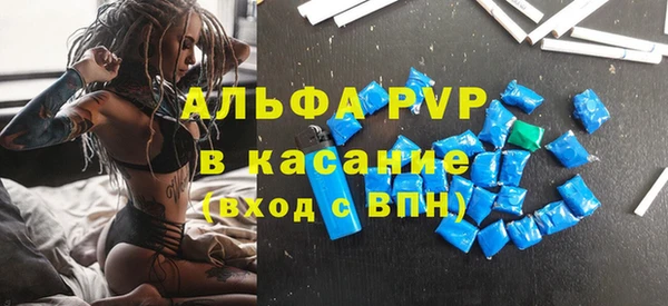 прущие грибы Нефтекумск