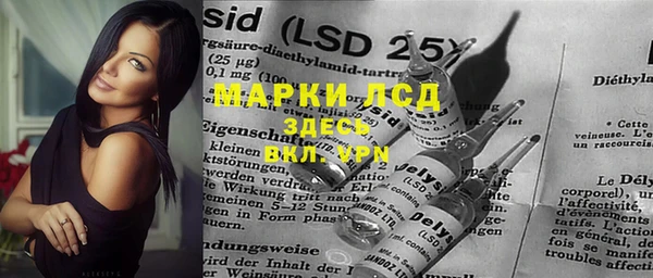 прущие грибы Нефтекумск