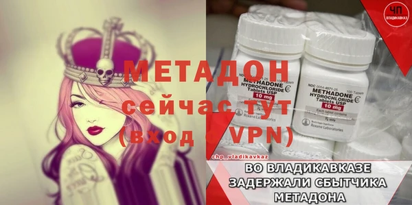 прущие грибы Нефтекумск