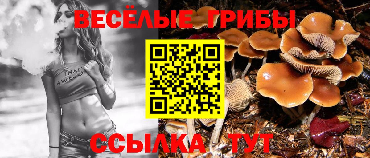 Карачаевск  Галлюциногенные грибы Magic Shrooms  Вход с VPN 